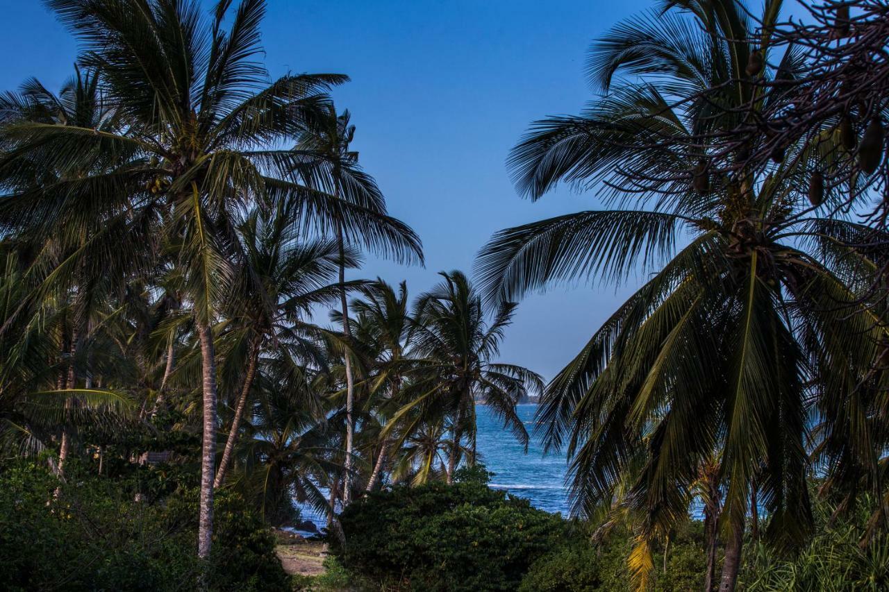 Вилла Msambweni Beach House Экстерьер фото